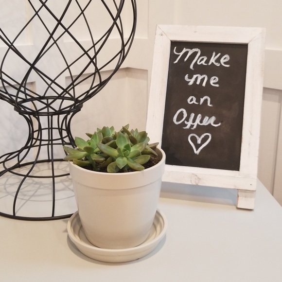 Meet your Posher, Michelle - Picture 2 of 2